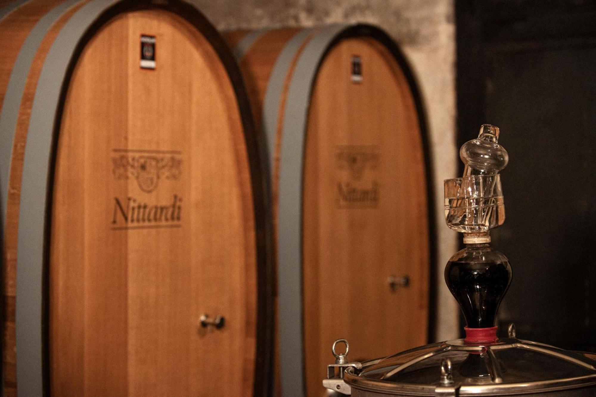 Nittardi Villa Castellina in Chianti Dış mekan fotoğraf